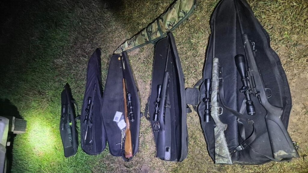 Golpe a la caza furtiva en Islas del Ibicuy: secuestraron 11 armas y más de 300 kilos de carne de ciervo