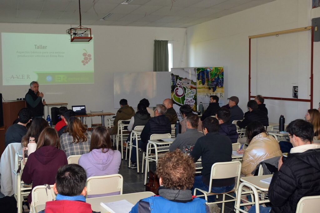 Impulso al sector vitivinícola entrerriano mediante formación técnica y asistencia directa en fincas