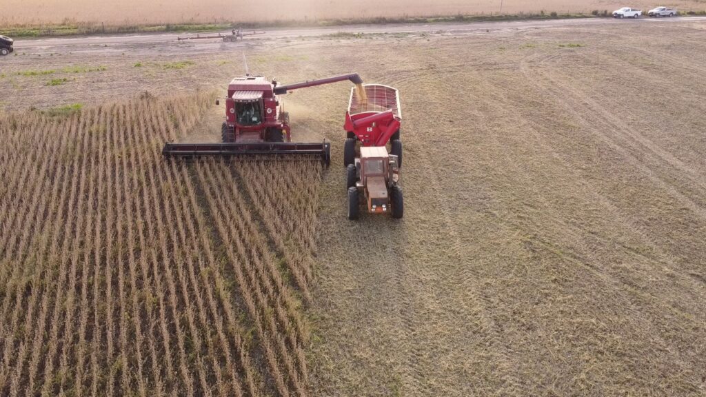 Entre Ríos logró una producción agrícola récord de más de 10 millones de toneladas en la campaña 2025/26