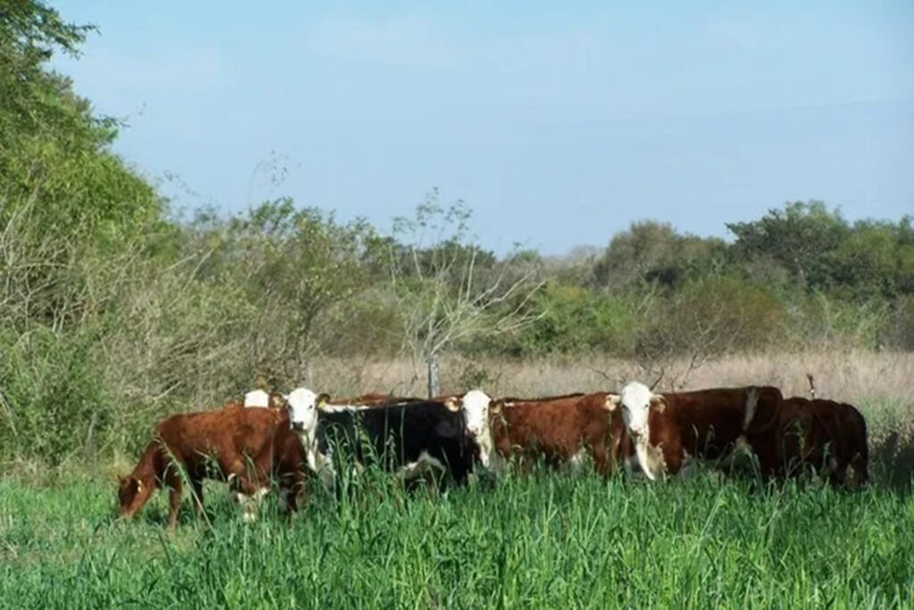 Entre Ríos regularizó 124.000 hectáreas de tierras fiscales y generó nuevos ingresos para la provincia