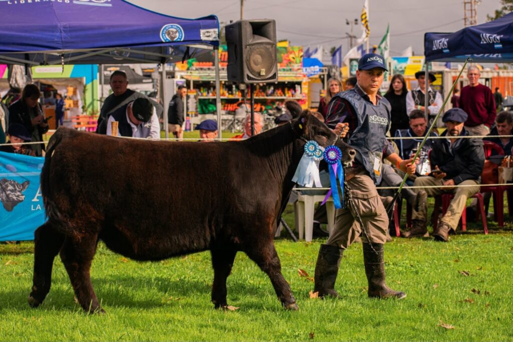 El gobierno provincial rindió cuentas de su gestión productiva en la Expo Rural de Villaguay