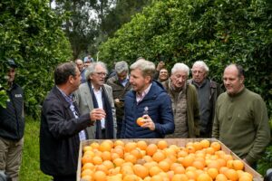 Frigerio recorrió plantaciones de cítricos en Concordia y destacó el potencial del sector para crecer y exportar