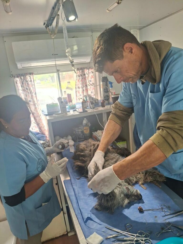 El Castramóvil continuará en el CIC una semana más