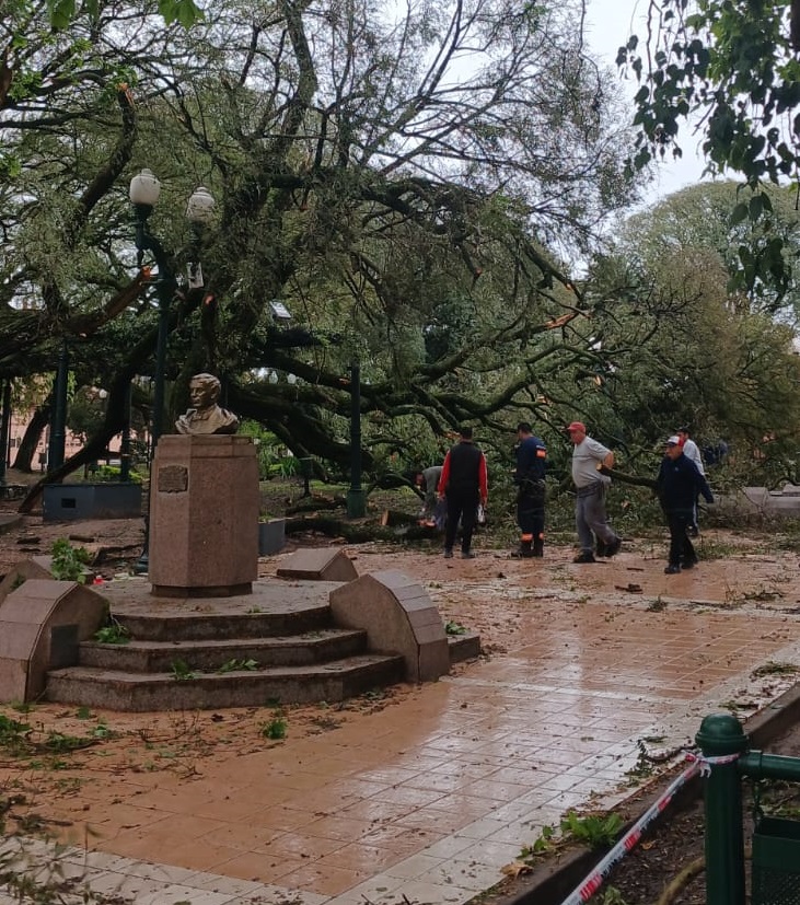 Tras el temporal, el Municipio trabaja en la limpieza y relevamiento de daños en distintos puntos de la ciudad